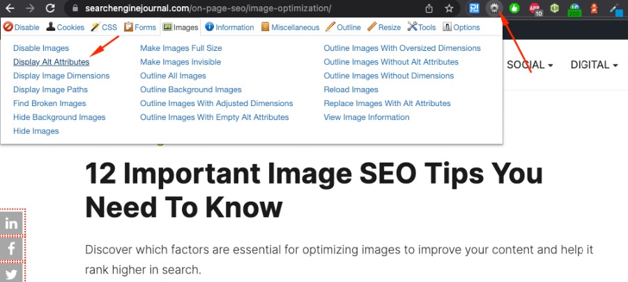 Chrome 网络开发者扩展