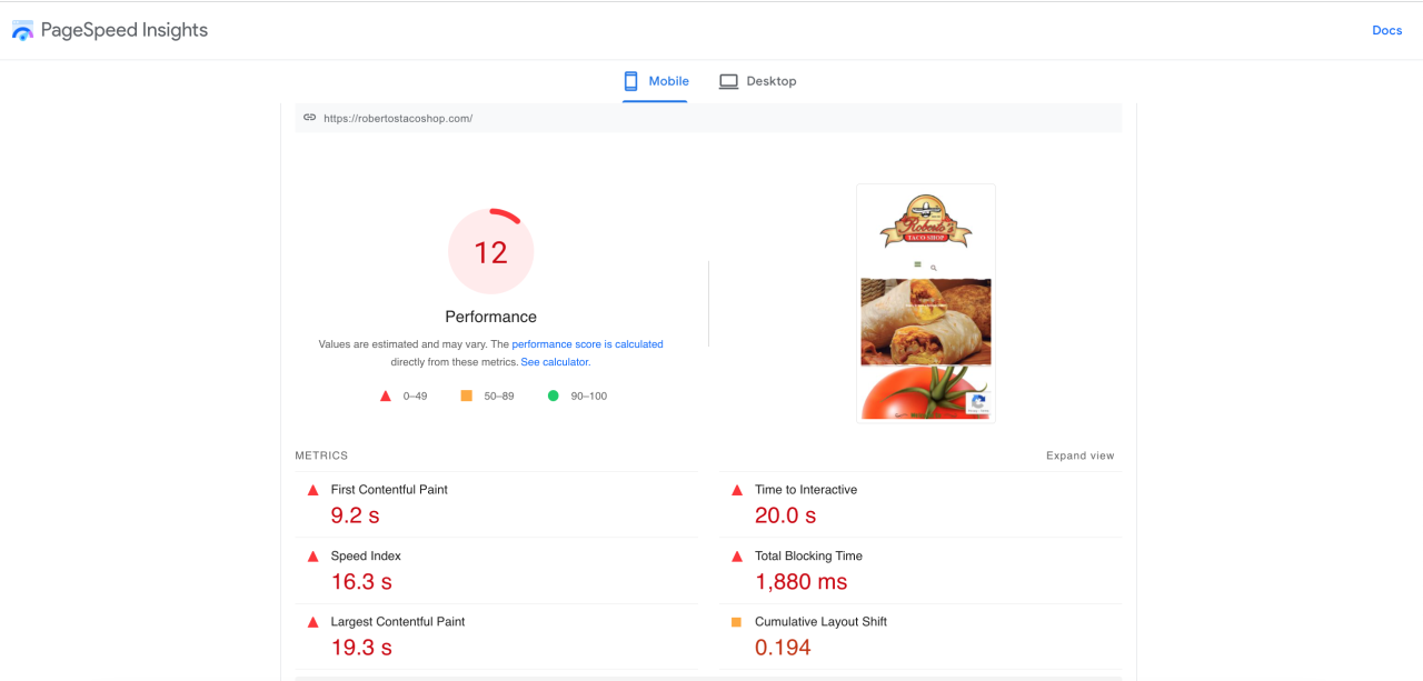 PageSpeed Insights 报告的屏幕截图