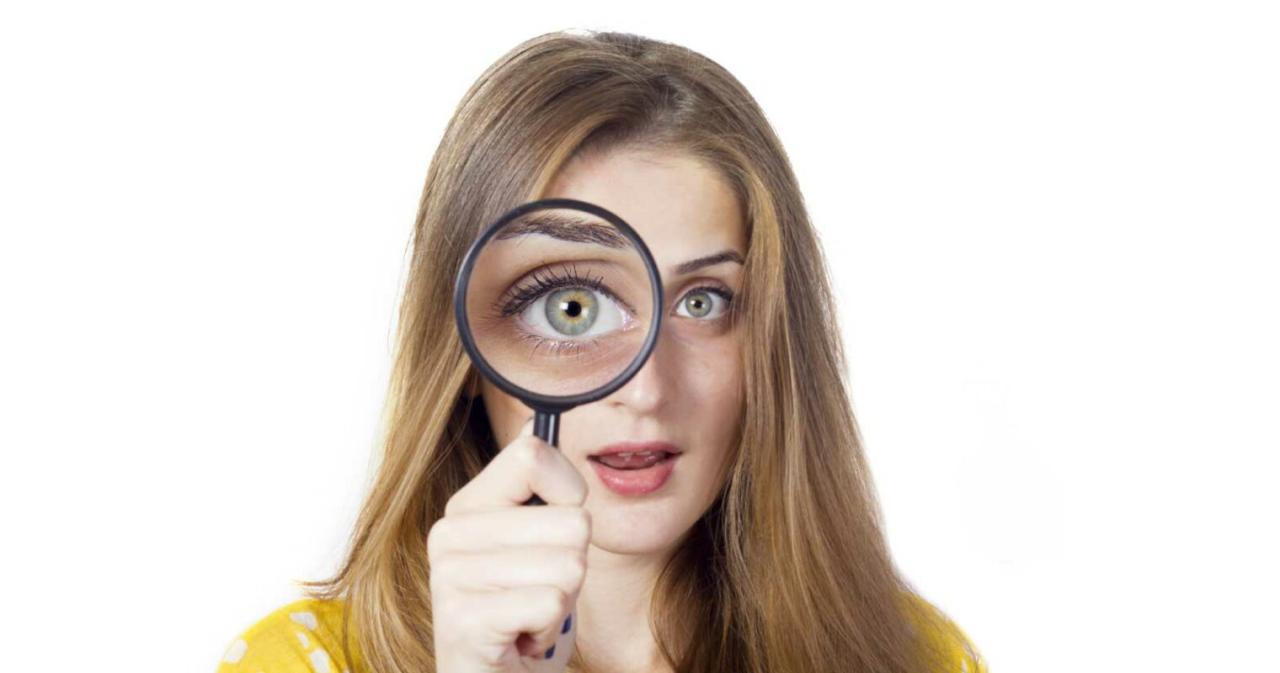 提高插件安全性和性能的 WordPress 提案