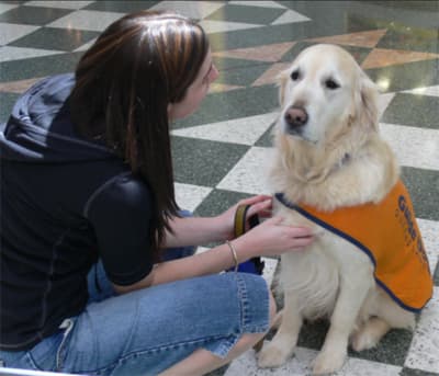 一名妇女与导盲犬坐在一起的照片。