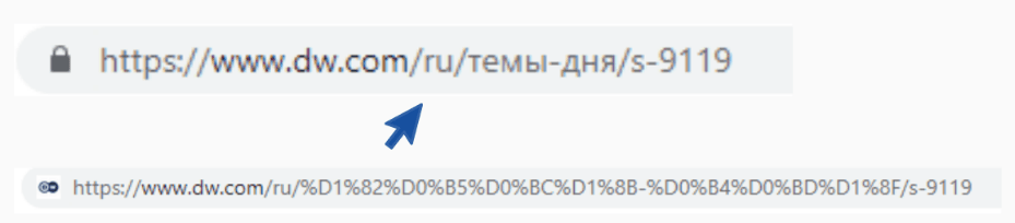 德国国际广播公司 Deutsche Welle (DW) 的俄语编码 URL 示例。