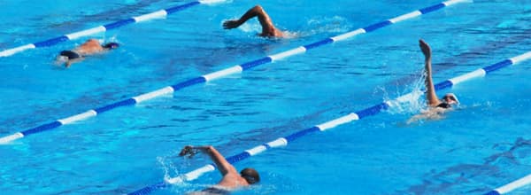 四名游泳者在游泳池的泳道中游泳。