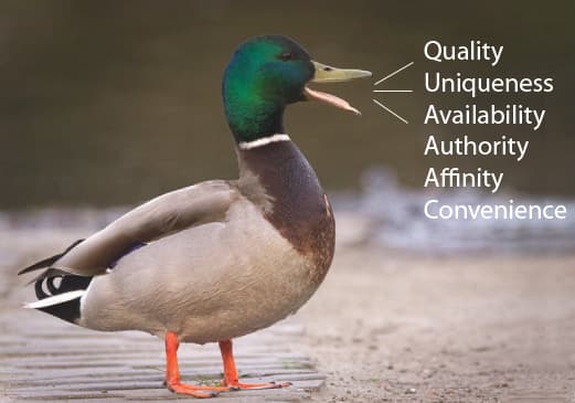 鸭嘴张开站在湿沙上。